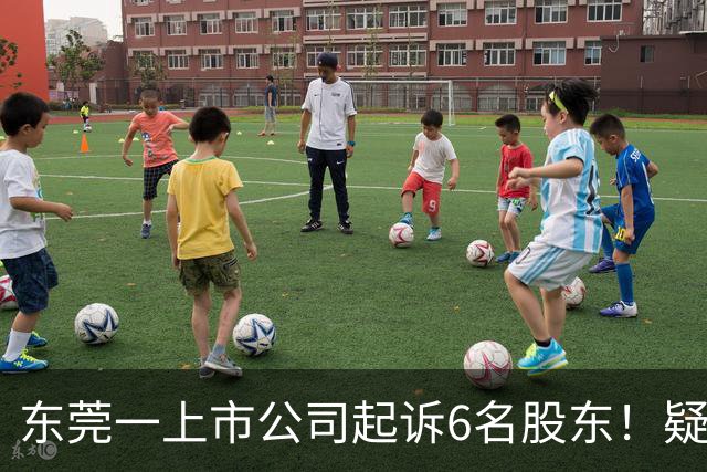 东莞一上市公司起诉6名股东！疑似影响控制权！