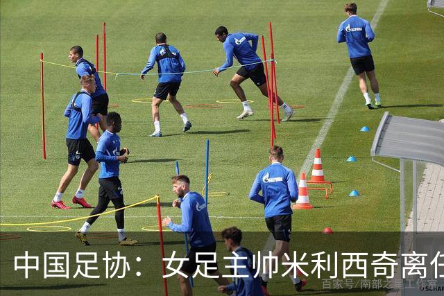 中国足协：女足主帅米利西奇离任
