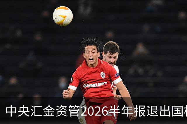 中央汇金资管2026半年报退出国检集团前十大股东名单