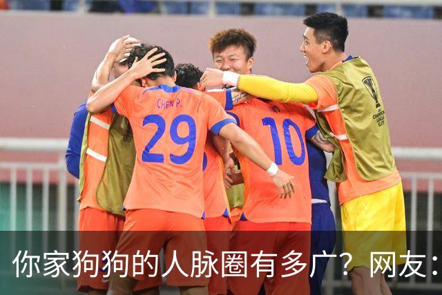 你家狗狗的人脉圈有多广？网友：我也是只认识狗不认识狗主人