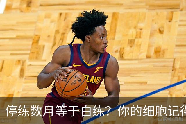 停练数月等于白练？你的细胞记得每一次流汗