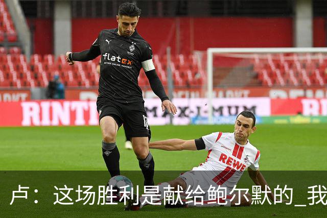 卢：这场胜利是献给鲍尔默的 我们仍在为他而战