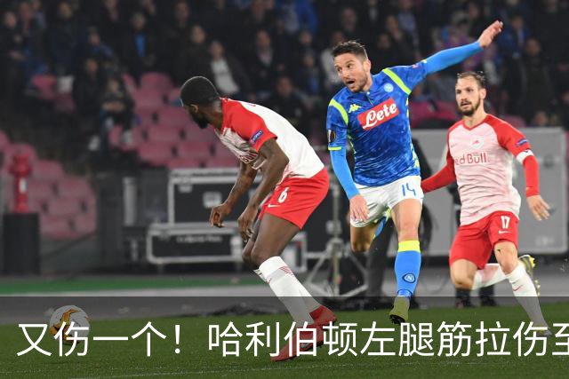 又伤一个！哈利伯顿左腿筋拉伤至少缺席2周