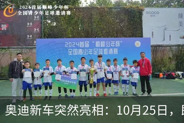 奥迪新车突然亮相：10月25日，即将上市