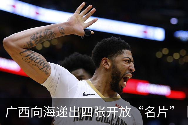 广西向海递出四张开放“名片”丨活力中国调研行