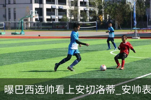 曝巴西选帅看上安切洛蒂 安帅表示赛季结束后定