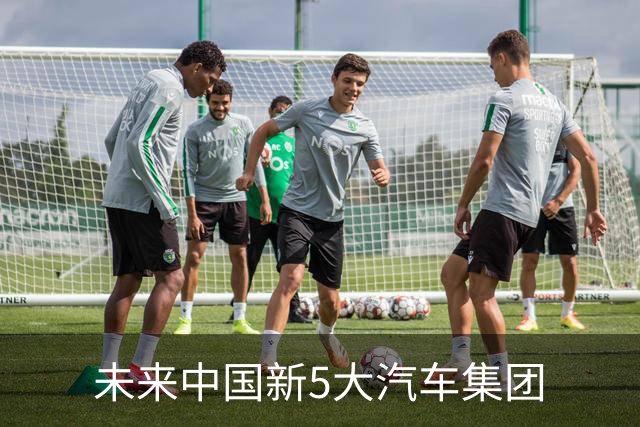 未来中国新5大汽车集团