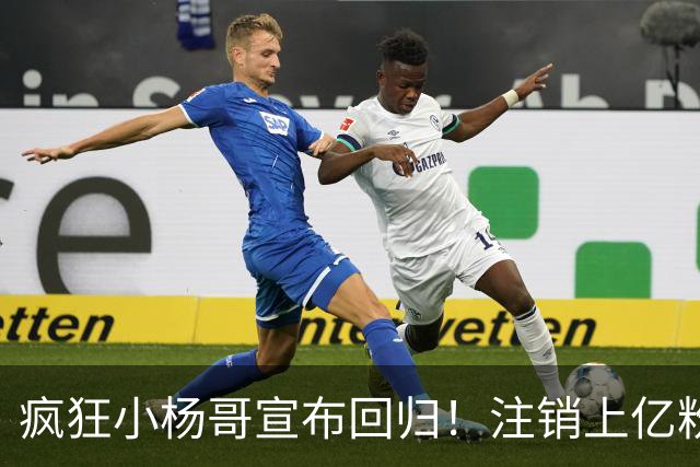 疯狂小杨哥宣布回归！注销上亿粉丝账号，嘴哥一句师傅显师徒情谊