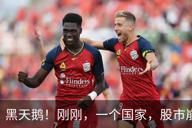 黑天鹅！刚刚，一个国家，股市崩盘