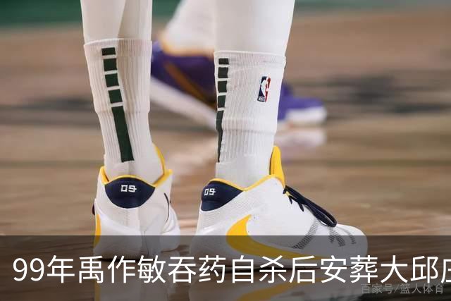 99年禹作敏吞药自杀后安葬大邱庄祖坟，坟前冷清无人祭拜！