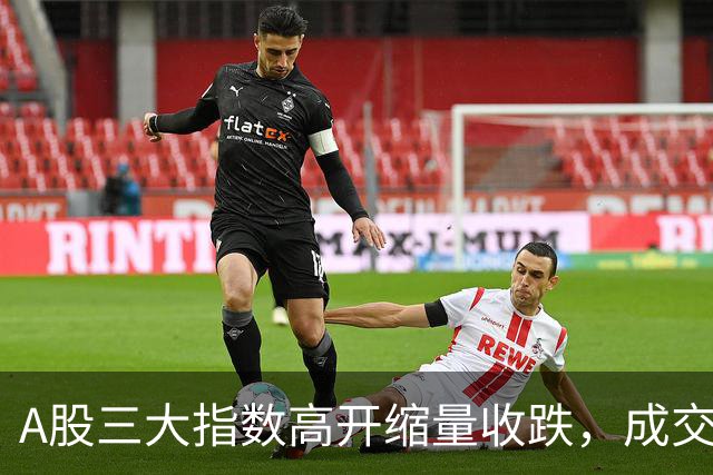 A股三大指数高开缩量收跌，成交额1.43万亿，IT服务行业领涨！